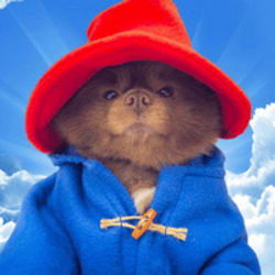 Bertram The Pomeranian logo