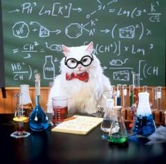 Chemistry Cat meme template