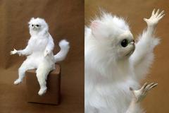 Persian Cat Room Guardian meme template