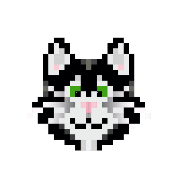 Catsky head og min 600x600 — free $CATSKY brand asset