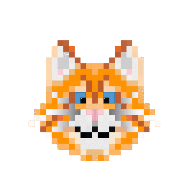 Catsky Ginger tom fur min 600x600 — free $CATSKY brand asset